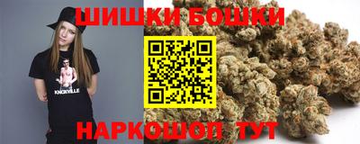 a pvp Славгород
