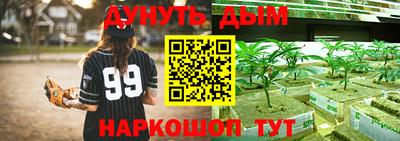 a pvp Славгород